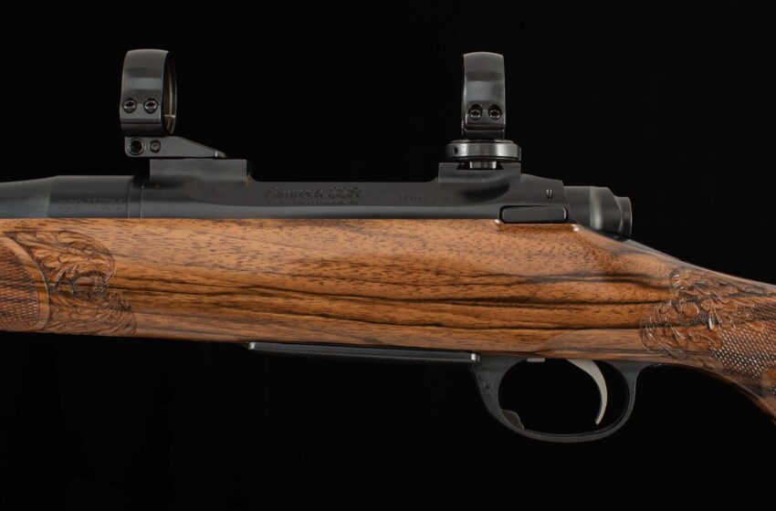 Justin Sip Custom 300WSM - BORDEN ACTION, TWO STOCKS