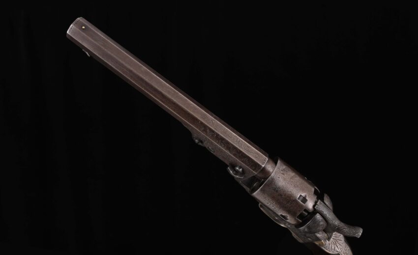 colt-for-sale63